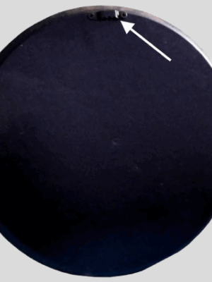 12" Traditional Dressed Dancing Rajasthani Woman Wall Plate  | Handpainted Wooden Home Decor | Handcrafted in India